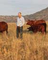 Back to basics: Success is built on simplicity and order Stockfarm