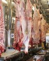Abattoirs: The hidden pulse of meat safety5