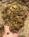Why use a silage inoculant?10