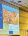 SA Stud Book showcases genomic excellence on the global stage20