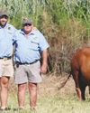 Borans: The heartbeat of a Northern Cape farming enterprise18