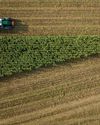 Silage equipment you can't do without13