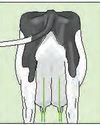 Stockfarm
