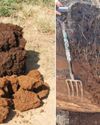 Soil organic matter and carbon: The miracle of topsoil organic matter Soil organic matter and carbon: The miracle of topsoil organic matter20