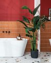 Latest looks for BATHROOMS