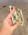 The $20 Bill That Became Priceless The $20 Bill That Became Priceless