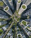 SECTOR INMOBILIARIO MEXICANO SE MANTIENE FUERTE ANTE CLIMA ARANCELARIO SECTOR INMOBILIARIO MEXICANO SE MANTIENE FUERTE ANTE CLIMA ARANCELARIO1