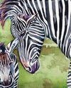 Female of the Species - Zebras - A strong sisterhood is key to staying safe