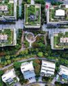 New urban jungles BBC Wildlife