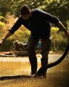 BBC Wildlife