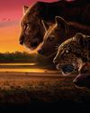 BBC Wildlife