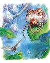 BBC Wildlife