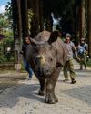 BBC Wildlife