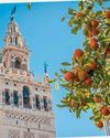 Garden globetrotting Seville