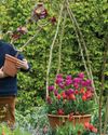 BBC Gardeners World