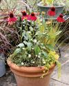 Propagate your pots12