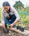 BBC Gardeners World