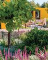BBC Gardeners World