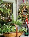 BBC Gardeners World