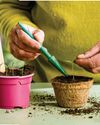 BBC Gardeners World