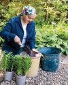 BBC Gardeners World