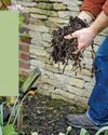 BBC Gardeners World