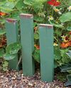 BBC Gardeners World