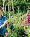 BBC Gardeners World