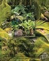 BBC Gardeners World