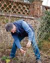 BBC Gardeners World