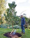 BBC Gardeners World