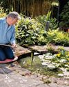 Reduce excessive growth of blanketweed11