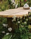 GARDEN THEME HIGHLIGHTS6