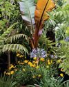 Inspired by Barbadian gardens BBC Gardeners World
