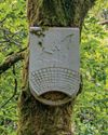 Put up a roosting box for bats19