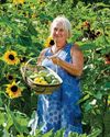 Success with COURGETTES BBC Gardeners World
