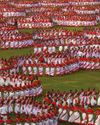 The Adivasi Should Not Dance The Adivasi Should Not Dance