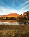 Escape to PERTHSHIRE Homes & Antiques