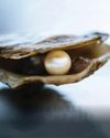 TREASURES FROM THE DEEP Homes & Antiques