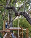 FAMILY FRIENDLY GARDENS Gardens Illustrated