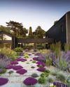 HIGH AND DRY Gardens Illustrated