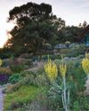 All change Gardens Illustrated