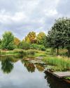 DIVE ON IN Gardens Illustrated