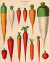 Gardens Illustrated