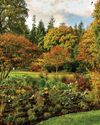 Gardens Illustrated