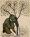 Gardens Illustrated