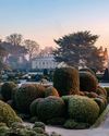 Gardens Illustrated