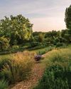 Gardens Illustrated