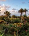 Gardens Illustrated