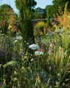 Gardens Illustrated